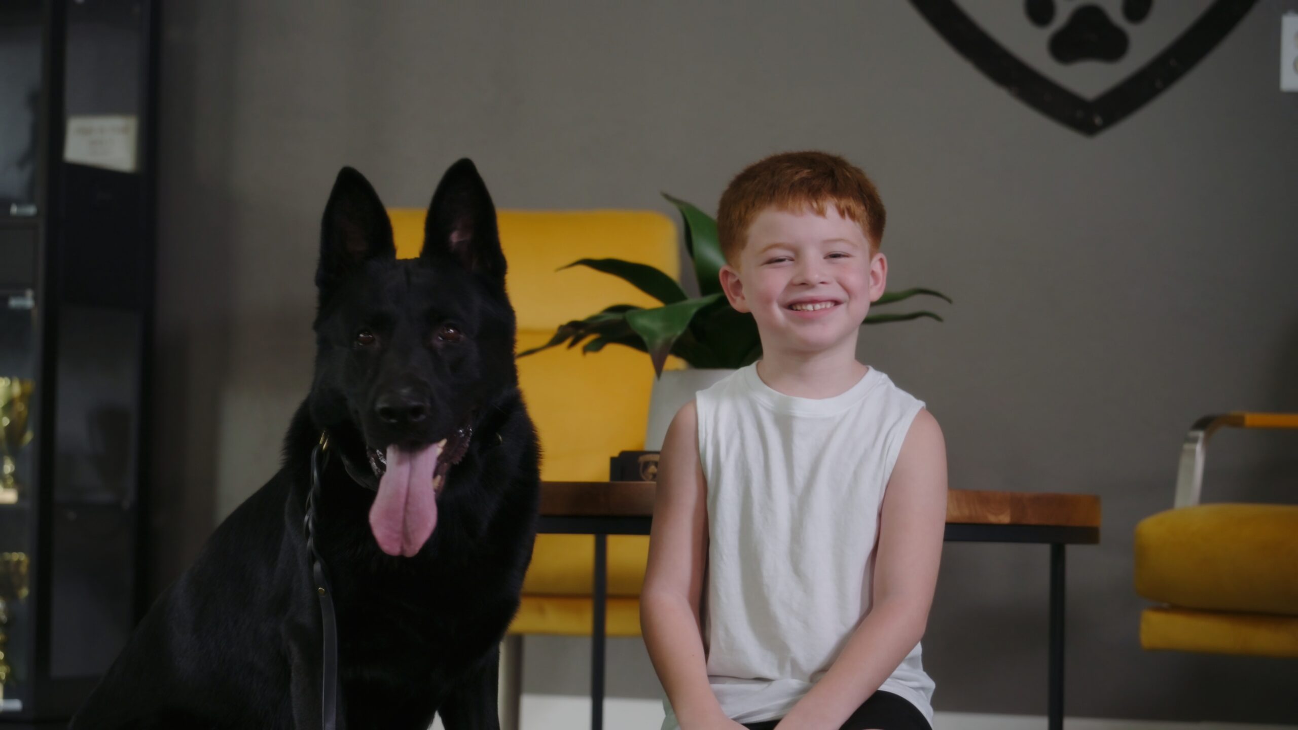 Trained family protection dog resting calmly beside a child
